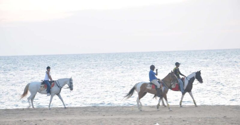 Half-Day Horse Riding in Kalpitiya - Scenic Highlights