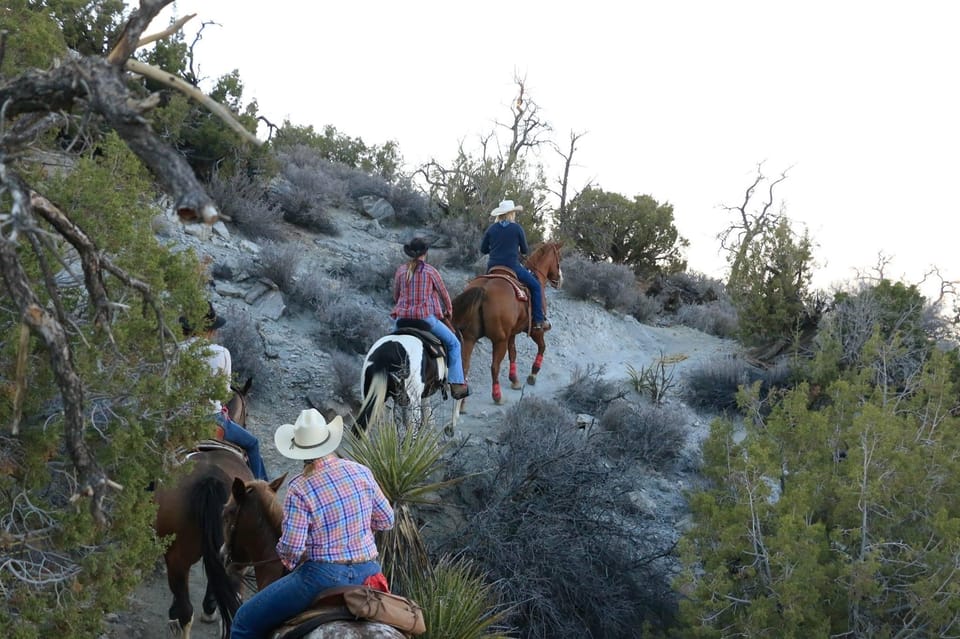 Half Day Horseback Riding Experience Through Joshua Tree - Booking Process