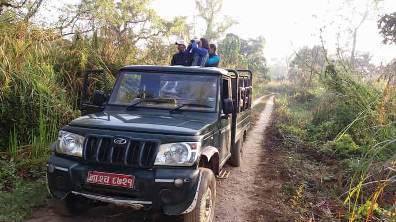 Half Day Jeep Safari in Chitwan National Park - Wildlife and Natural Experience