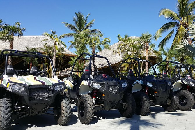 Half Day Jungle Buggies in Bali With Guide - Health and Safety Considerations