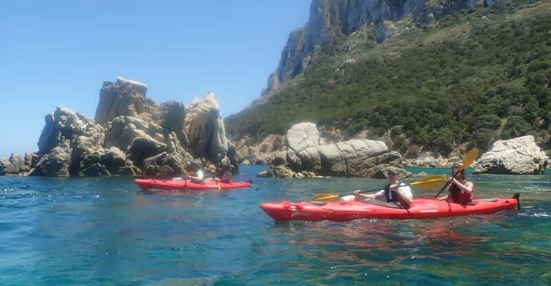 Half Day Kayak Tour of Capo Figari, Golfo Aranci (4 Hours) - Equipment and Inclusions