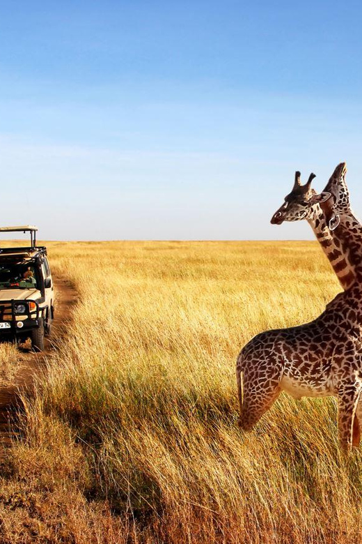 Half Day Safari Tour From Durban - Cultural Immersion