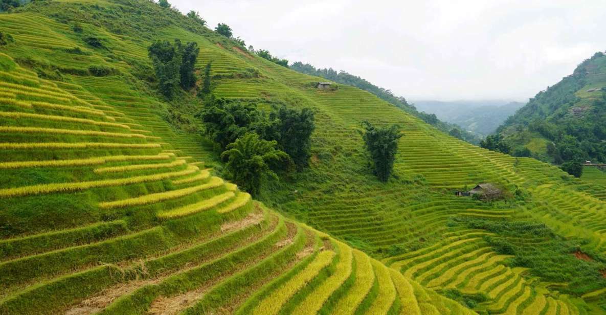 Half Day Sapa Trekking to Visit Lao Chai - Ta Van - Trekking Experience