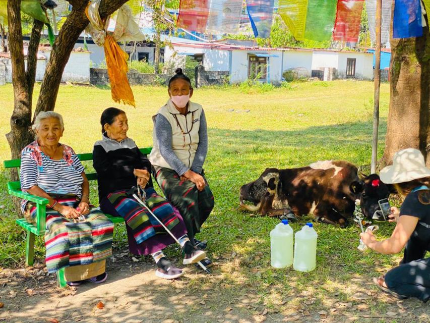 Half Day Tibetan Cultural Tour - Cultural Immersion