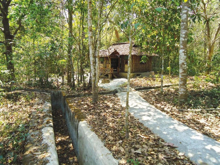 Half-Day Visit Cu Chi Tunnels - Historical Significance of Cu Chi