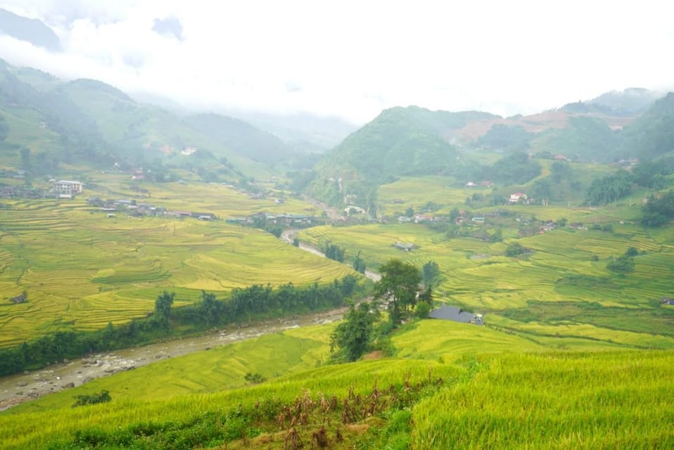 Half Day Visit Y Linh Ho,Lao Chai,Ta Van Trekking With Lunch - Highlights of the Trek