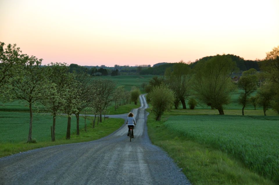 Hällåkra: Cycling or Hiking With Wine Tasting - Route and Attractions