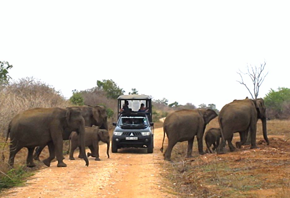 Hambantota: Udawalawe Safari and Elephant Transit Home Trip - Inclusions