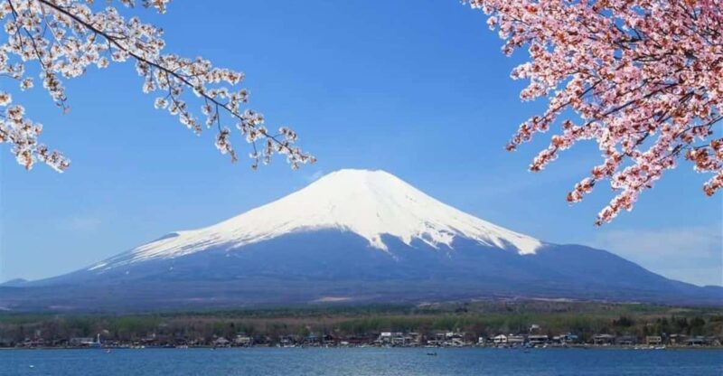 Haneda Airport（Hnd）To/From Fuji Area Private Transfer - Customer Support