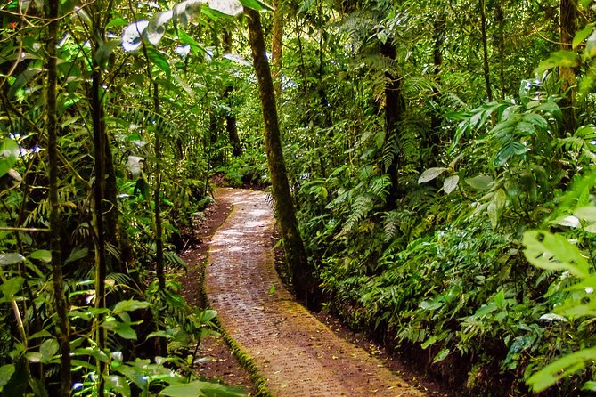 Hanging Bridges & Tour Guide From Monteverde - Tour Duration and Inclusions