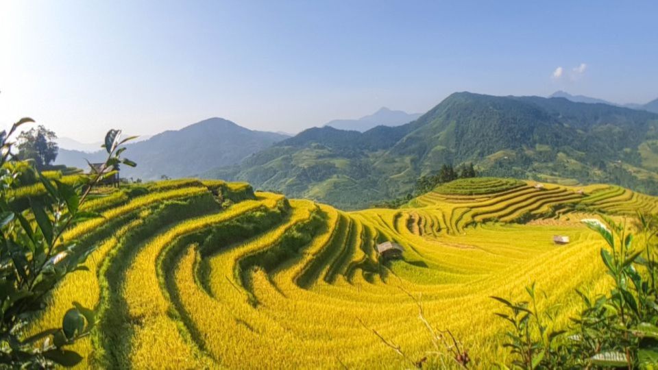 Hanoi: 2-Day Ta Van & Sapa Trek With Local Guide & Homestay - Included Services