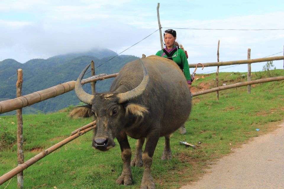 Hanoi: 3-Day Sapa Trek With Homestay - Day 1 Highlights