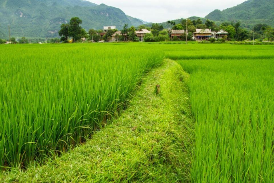 Hanoi: Day Trip to Mai Chau Biking With Lunch & Tranfers - Local Cultural Experiences