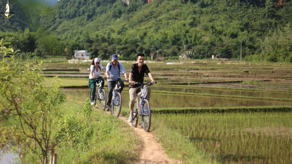 Hanoi: Full Day Guided Tour of Hoa Lu, Tam Coc, and Mua Cave - Inclusions and Amenities