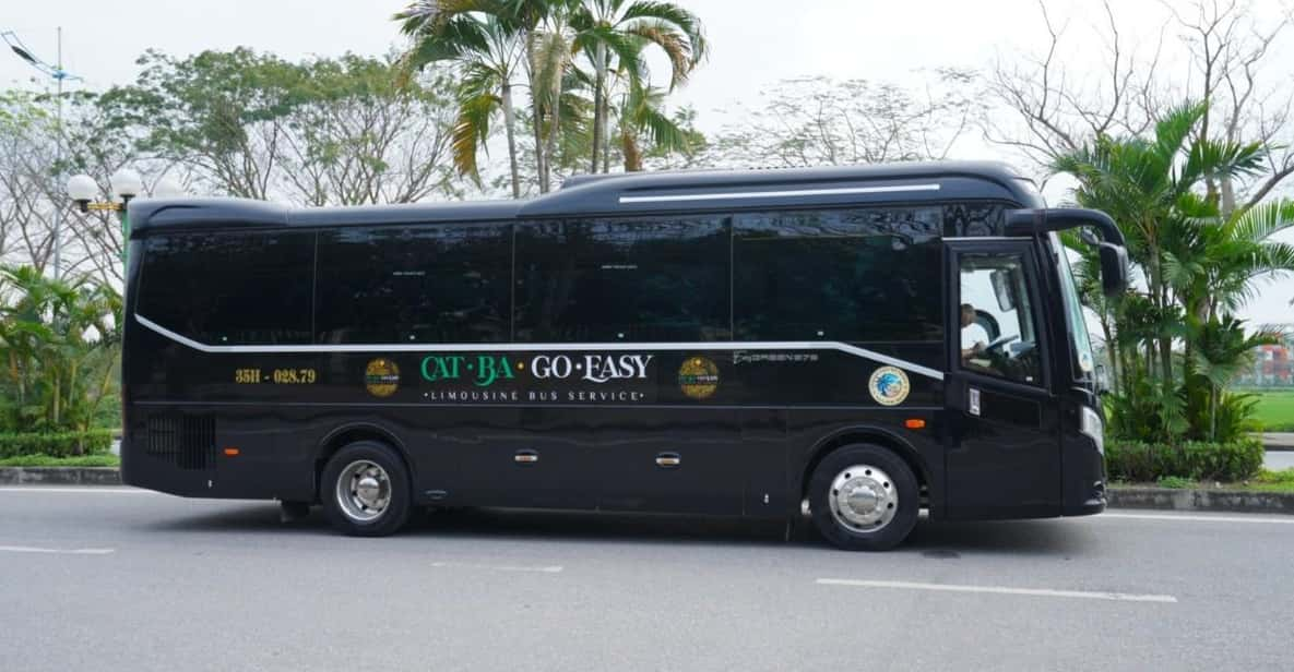 Hanoi: Limousine Bus to Cat Ba, English Guide, High Quality - Experience Highlights