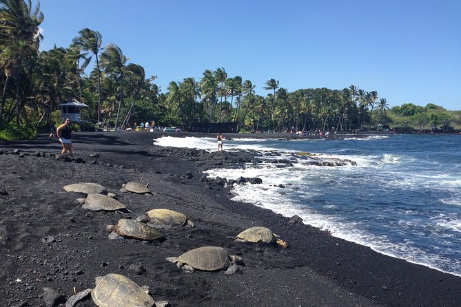 Hawaii Big Island Circle Small Group Tour: Waterfalls - Hilo - Volcano - Black Sand Beach - Key Locations Explored