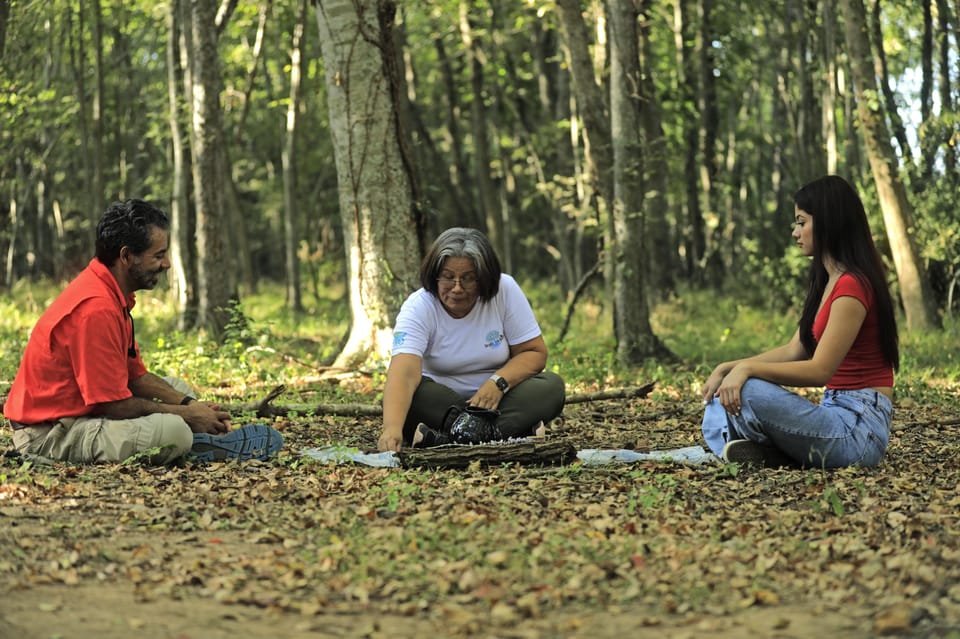 Healing With the Forest - Guided Tour Itinerary