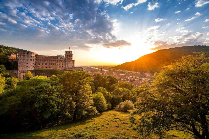 Heidelberg: Private Tour of Heidelberg Castle - Inclusions