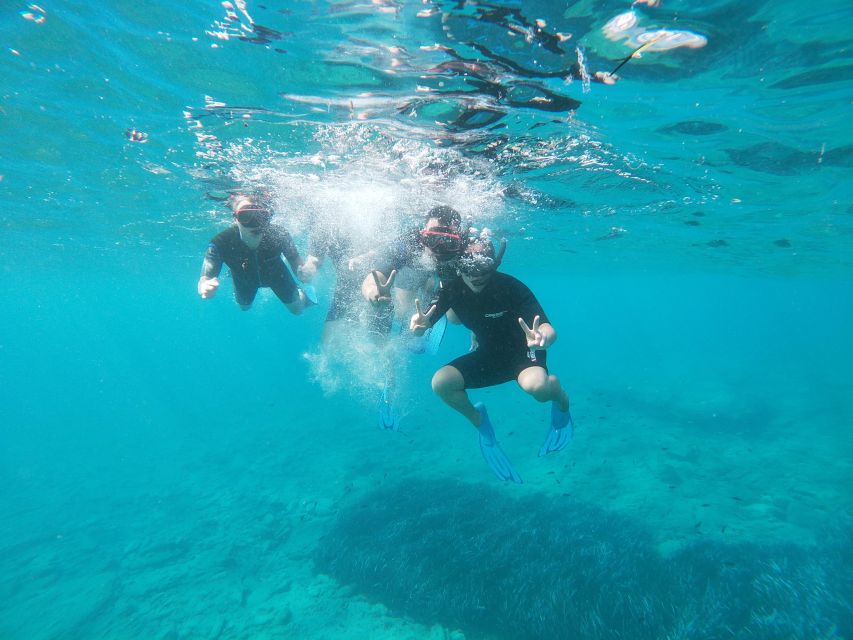 Heraklion: Beginner-Friendly Snorkeling Trip - Experience Highlights