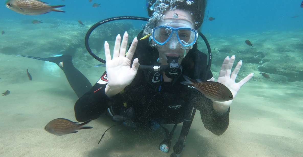 Heraklion: Beginner Scuba Diving Lesson With PADI Instructor - Participant Capacity and Experience