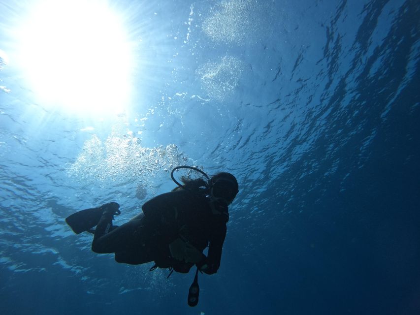 Heraklion: Scuba Diving Trip for Beginners - Rental Equipment and Inclusions