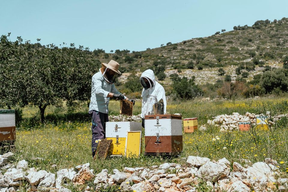 Heraklion: True Crete Melidoni Cave, Secrets of Honey, Olive - Discovering the Honey Museum