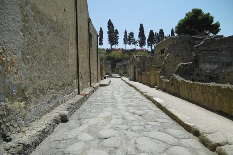 Herculaneum Private Tour From Naples - Highlights of the Tour Experience