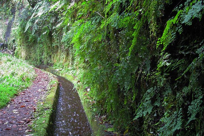 Hidden Corners: Levada Walk From Funchal - Meeting and Pickup Details