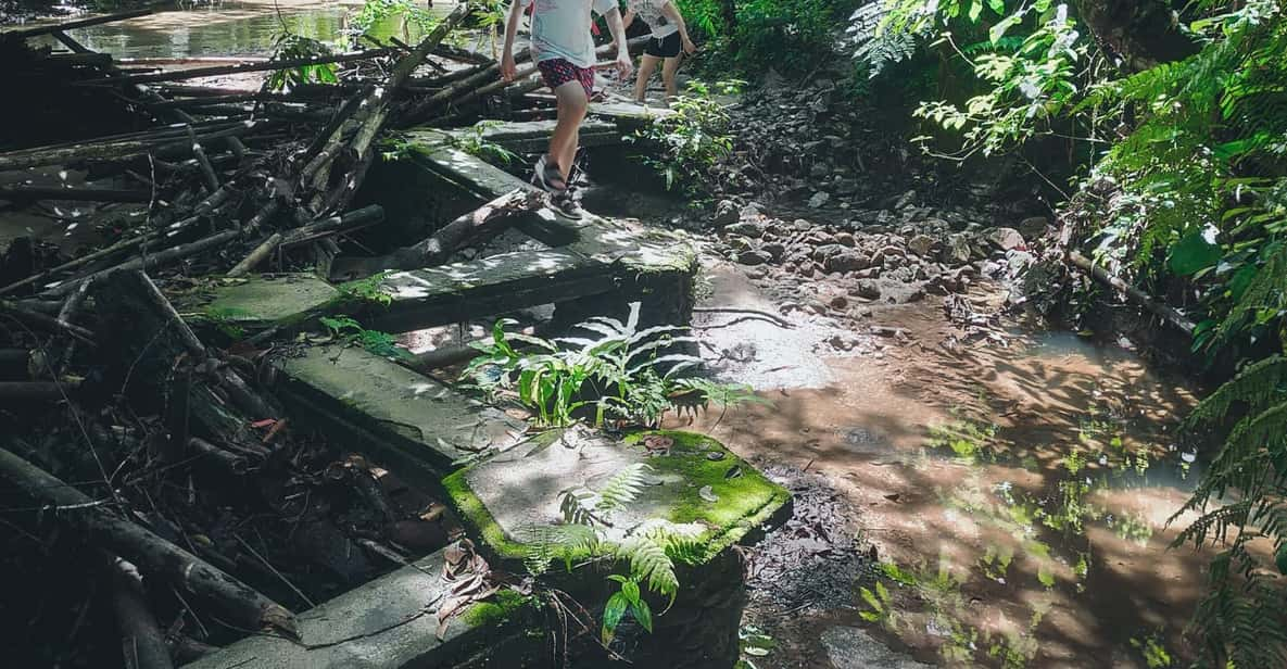 Hidden Waterfall Hiking Adventure - Highlights of the Experience