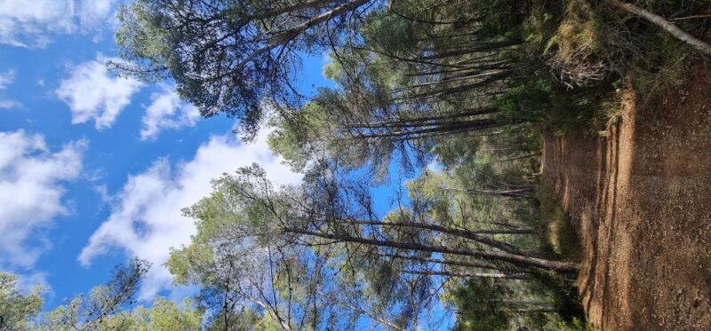 Hike and Swim in Montenejos Thermal Springs - Itinerary Details