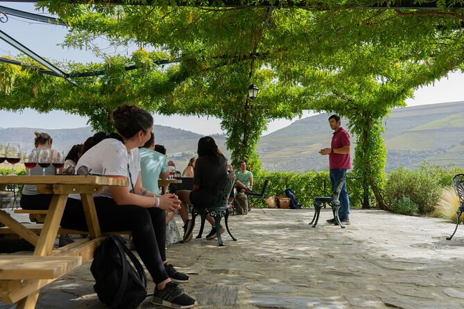 HIKE at DOURO VALLEY W/ Winery Visit and Tasting - Port Wine Tasting Experience