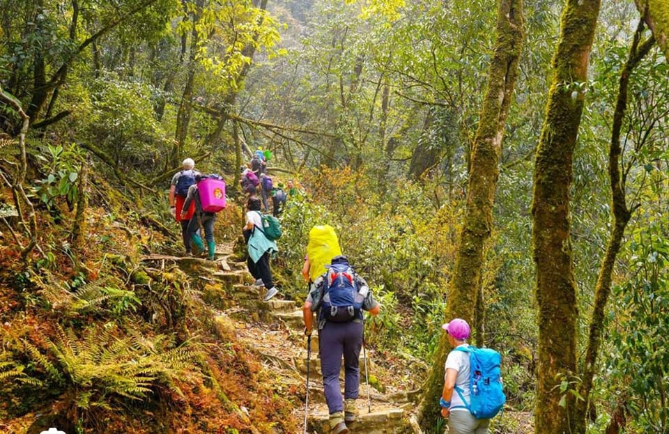 HIKE FANXIPAN MOUNTAIN TOUR 1DAY - Cultural Immersion