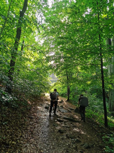 Hike in Polish Mountains: Day Trip to Rudawy Janowickie - Hiking Experience Highlights