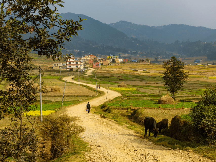 Hike the Historic Route: Namobuddha to Panauti Day Hike - Health and Safety Tips