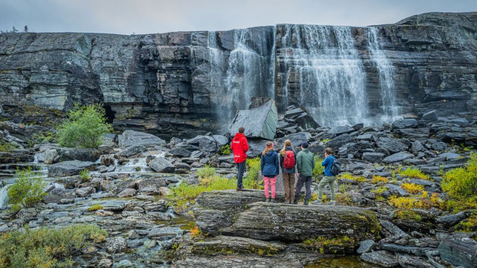 Hike to Orvvosfossen Waterfall - Local Flora and Fauna