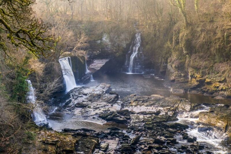 Hike World Heritage Reserve Waterfalls - Itinerary Details