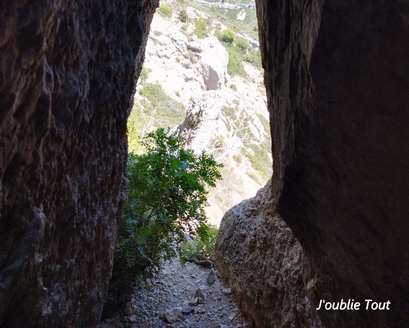 Hiking in the Footsteps of Marcel Pagnol - Immersive Nature Exploration