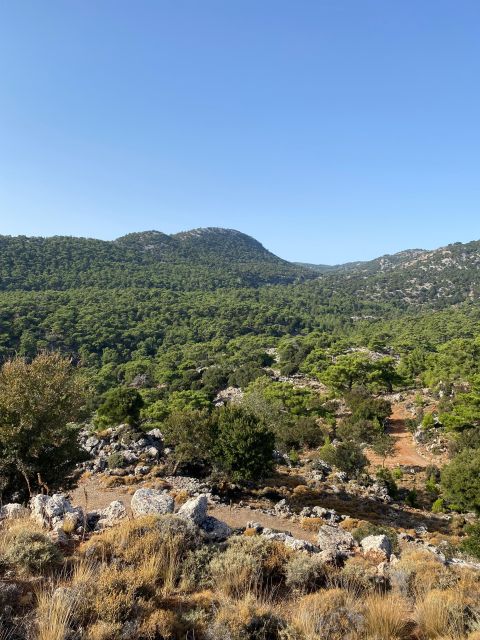 Hiking Kroustas Forest - Environment and Wildlife