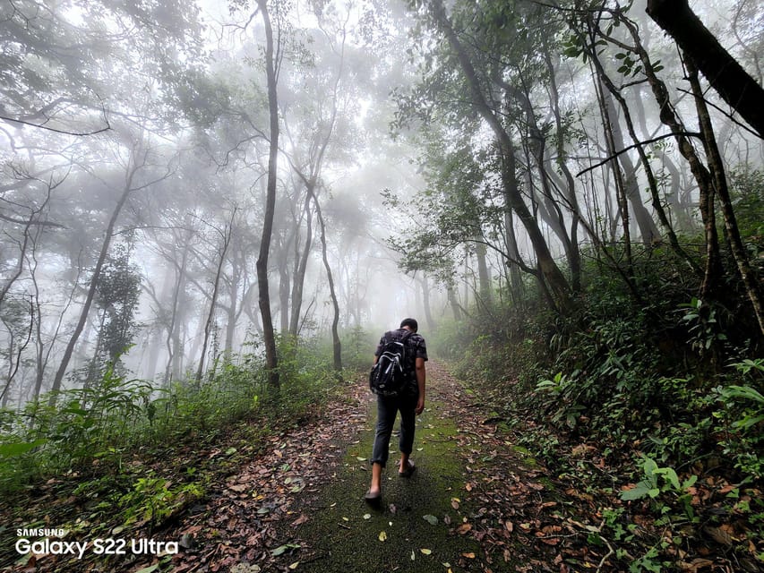 Hiking to Doi Suthep Peak& Delectable Cuisine & Wat Pha Lat. - Hiking Experience