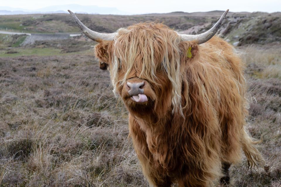 Hill & Nature Hike - Discover Real Edinburgh With a Local - Meeting Point Details