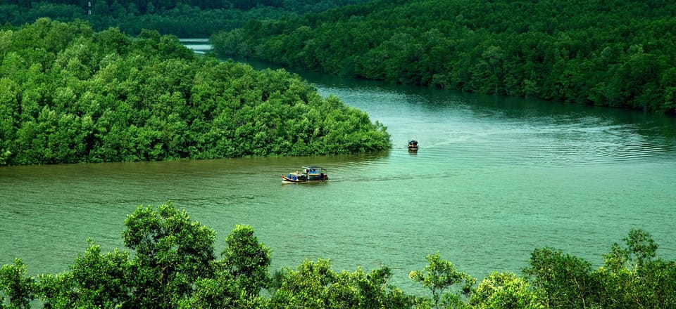 Ho Chi Minh City: Can Gio Mangrove Forest Eco Tour - Included Services