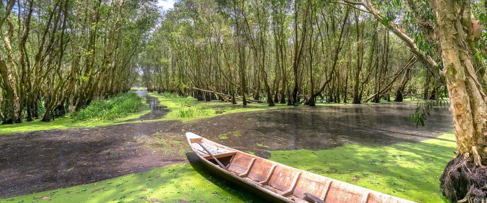 Ho Chi Minh City: Explore Eco Tour - Can Gio Mangrove Forest - Daily Itinerary Details