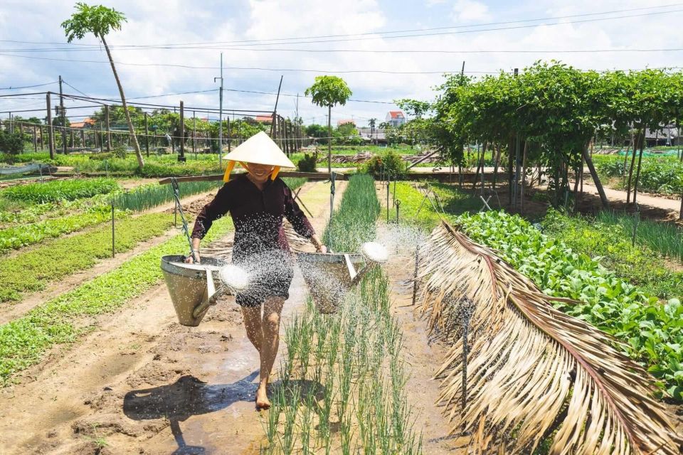 Hoi An: Authentic Cooking Class in Organic Herb Village - Accessibility Features