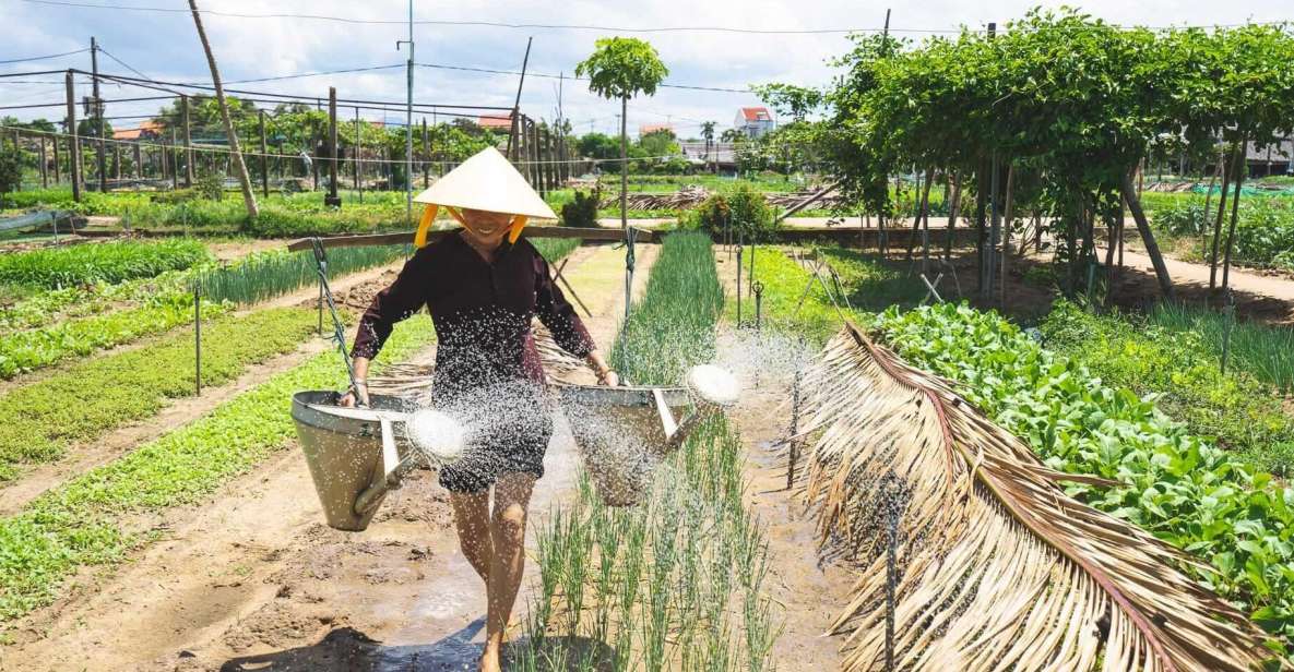 Hoi An : Basket Boat & Farming and Cooking Class in Tra Que - Inclusions and Benefits