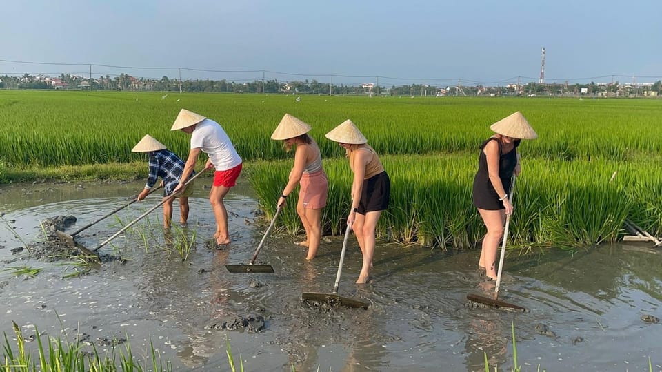 Hoi An: Buffalo Riding, Cycling,Be a Farmer and Fisher Man - Pickup and Drop-off Details