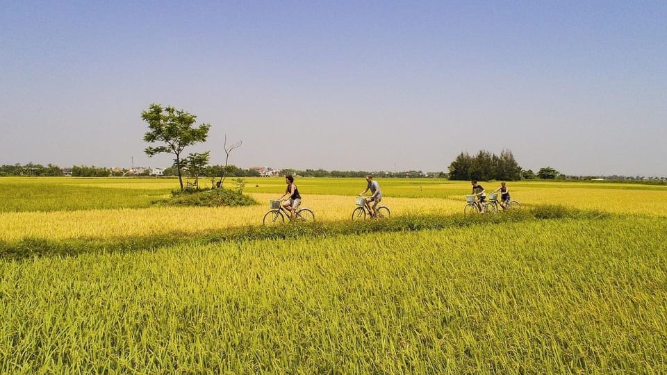 Hoi An Eco Bicycle Tour - Highlights and Experiences