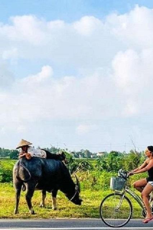 Hoi An Eco Bicycle Tour - Experience and Activities