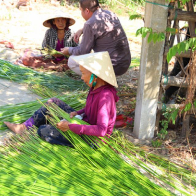Hoi An: Hidden Gems Vespa Tour - Itinerary and Schedule