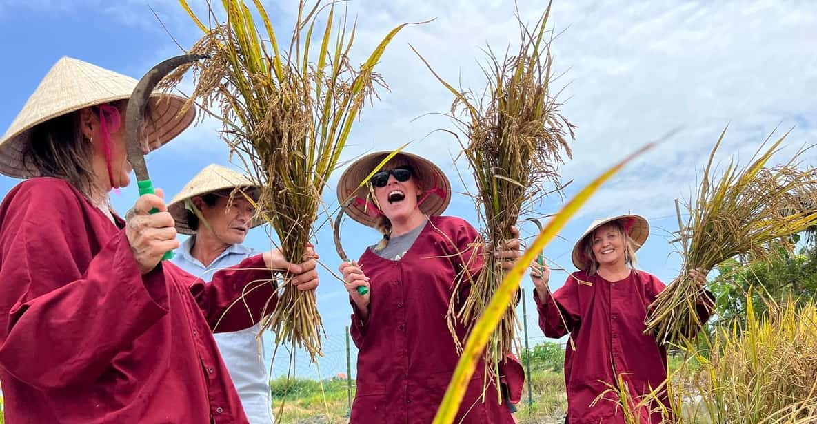 Hoi An:Lattern Making-Be A Real Farmer At Tra Que Village - Tour Details