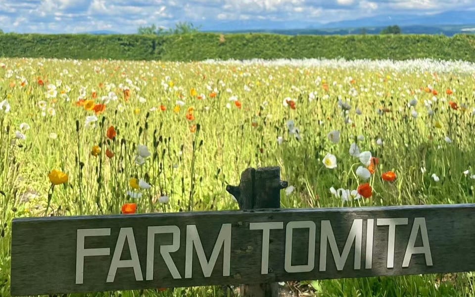 Hokkaido: Biei Furano One-Day Tour (Lunch&Melons Option) - Shikisai No Oka Visit